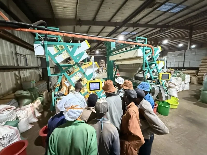 Introduction of color sorter Introduction of color sorter