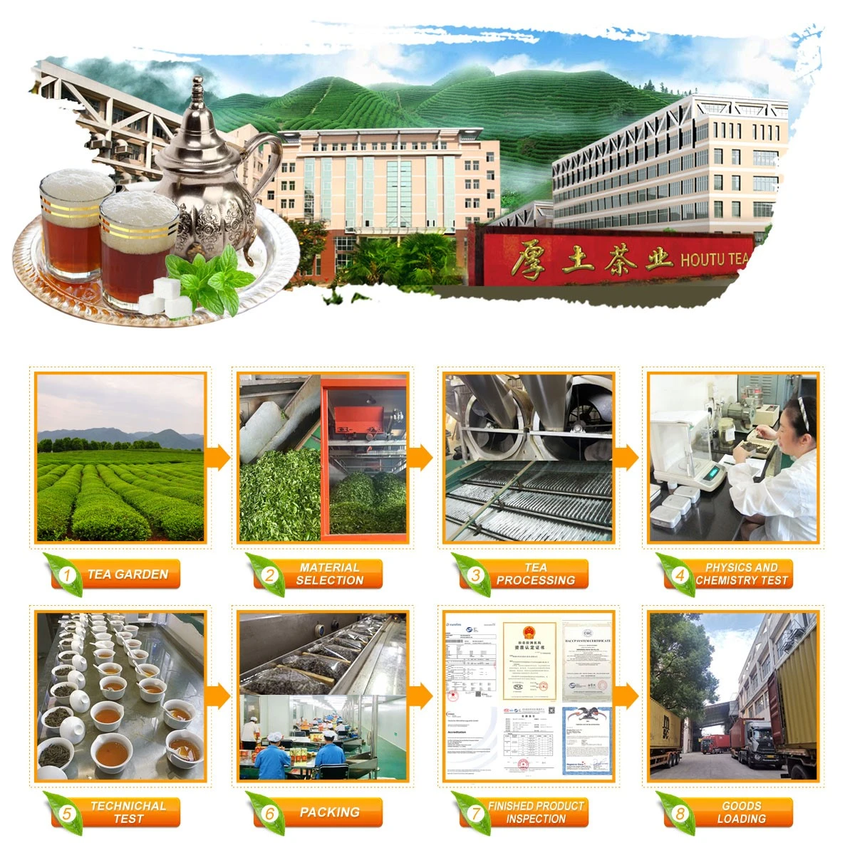 houtu tea production process optimization..jpg houtu tea production process optimization..jpg